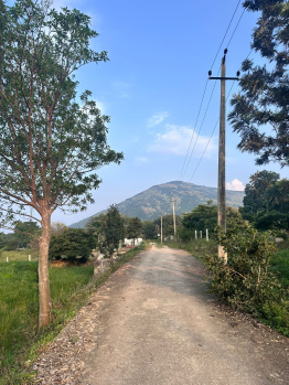  Residential Plot for Sale in Doddaballapur, Bangalore