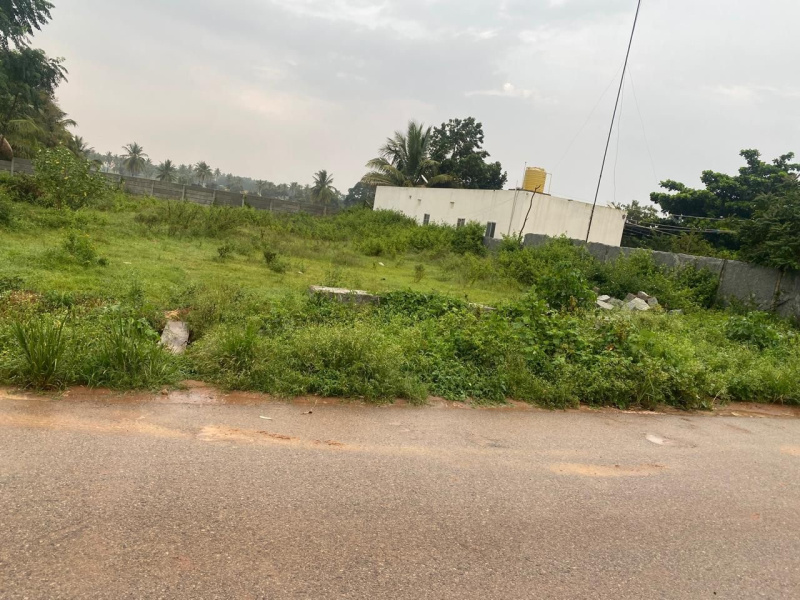  Residential Plot 10 Guntha for Sale in Hoskote, Bangalore