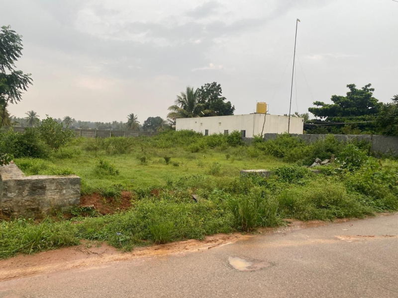  Residential Plot 10 Guntha for Sale in Hoskote, Bangalore