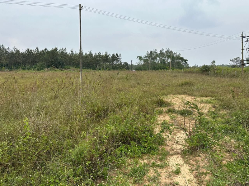  Residential Plot 3 Ares for Sale in Belur Hassan