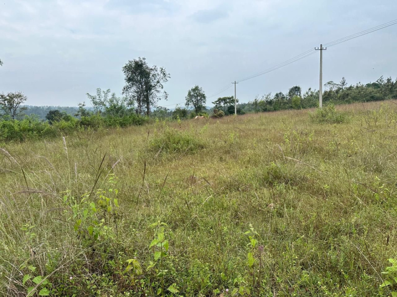  Residential Plot 3 Ares for Sale in Belur Hassan