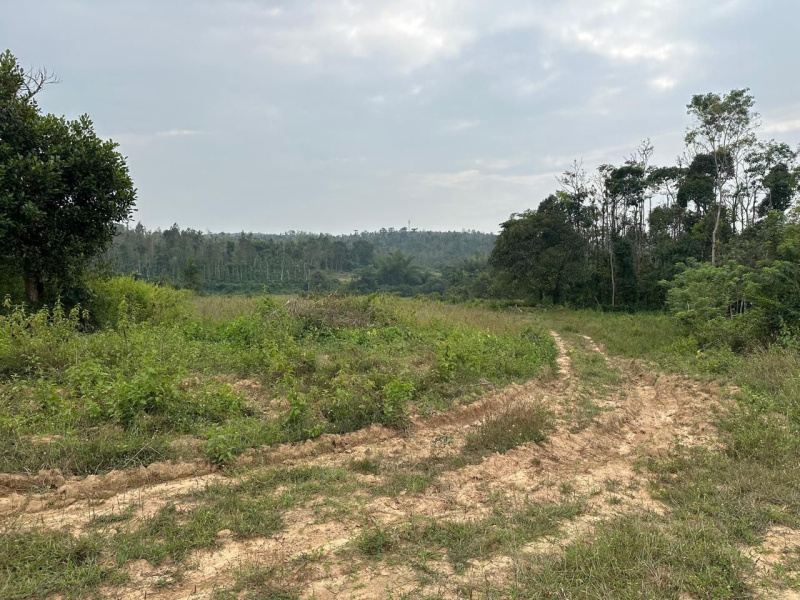  Residential Plot 3 Acre for Sale in Sakleshpur, Hassan