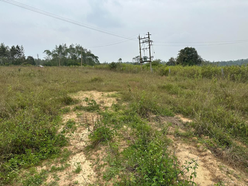  Residential Plot 3 Acre for Sale in Sakleshpur, Hassan