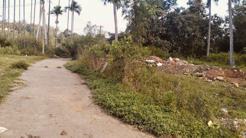  Residential Plot 4 Guntha for Sale in Kadur, Chikmagalur