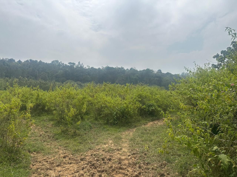  Residential Plot 1 Acre for Sale in Nandi Hills, Bangalore