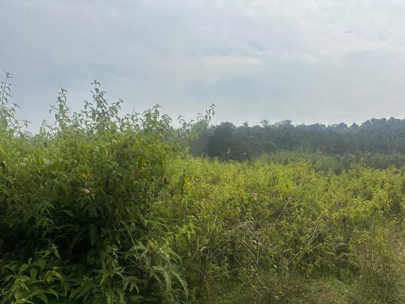  Residential Plot 1 Acre for Sale in Nandi Hills, Bangalore