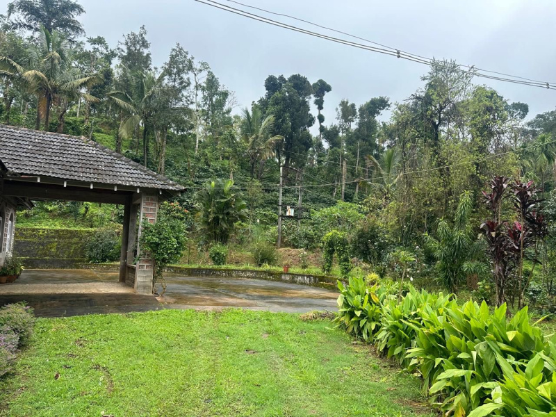  Residential Plot 16 Acre for Sale in Jayanagar, Chikmagalur