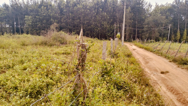  Residential Plot 4 Acre for Sale in Koduvalli, Chikmagalur