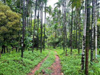  Residential Plot for Sale in Nallur, Chikmagalur