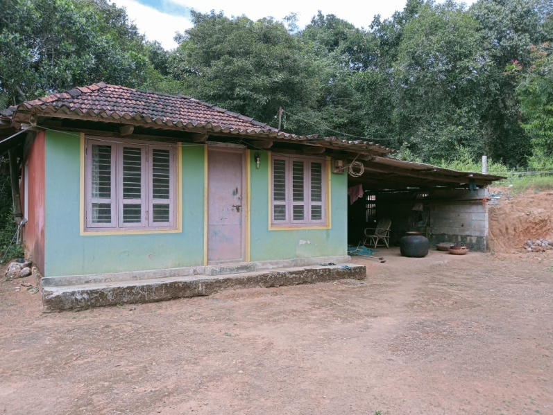  Residential Plot 9 Acre for Sale in Sringeri, Chikmagalur