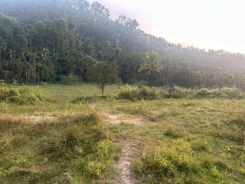  Residential Plot 3 Acre for Sale in Kalasa, Chikmagalur