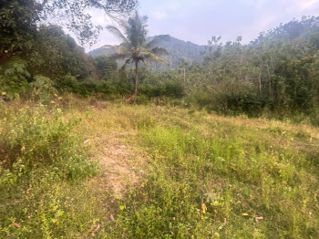  Residential Plot for Sale in Kalasa, Chikmagalur