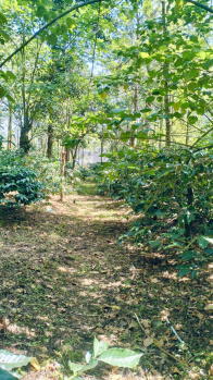  Residential Plot for Sale in Mullayanagiri, Chikmagalur