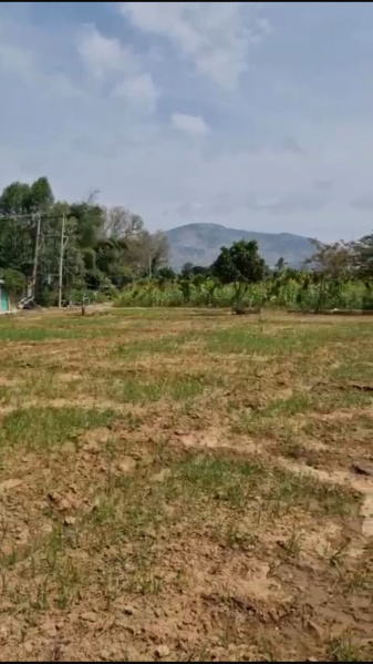  Residential Plot 1 Acre for Sale in Yelahanka, Bangalore