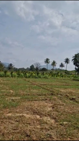  Residential Plot 1 Acre for Sale in Yelahanka, Bangalore