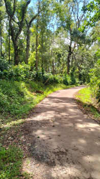  Residential Plot for Sale in Mallandur Road, Chikmagalur