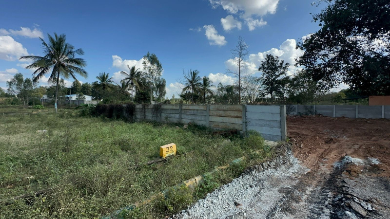  Residential Plot 9 Guntha for Sale in Doddaballapur, Bangalore