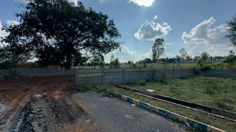  Residential Plot 9 Guntha for Sale in Doddaballapur, Bangalore