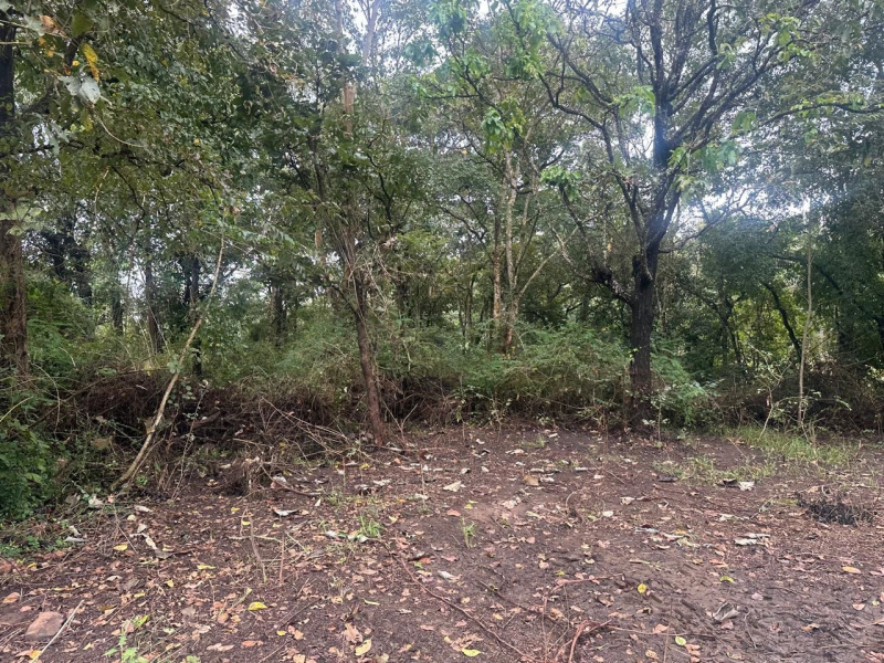  Residential Plot 8 Acre for Sale in Mudigere, Chikmagalur