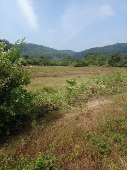  Residential Plot for Sale in Alur, Hassan