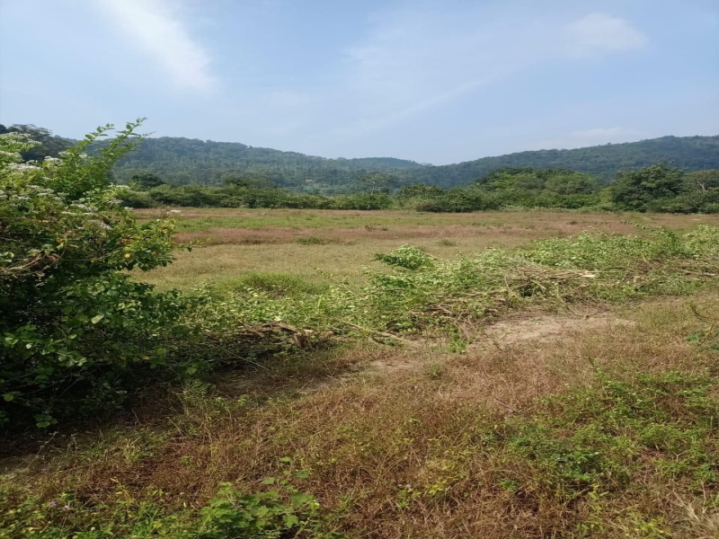  Residential Plot 37 Guntha for Sale in Alur, Hassan