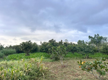  Agricultural Land for Sale in Doddaballapur, Bangalore