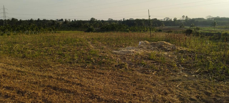  Residential Plot 59160 Sq.ft. for Sale in Belur Hassan