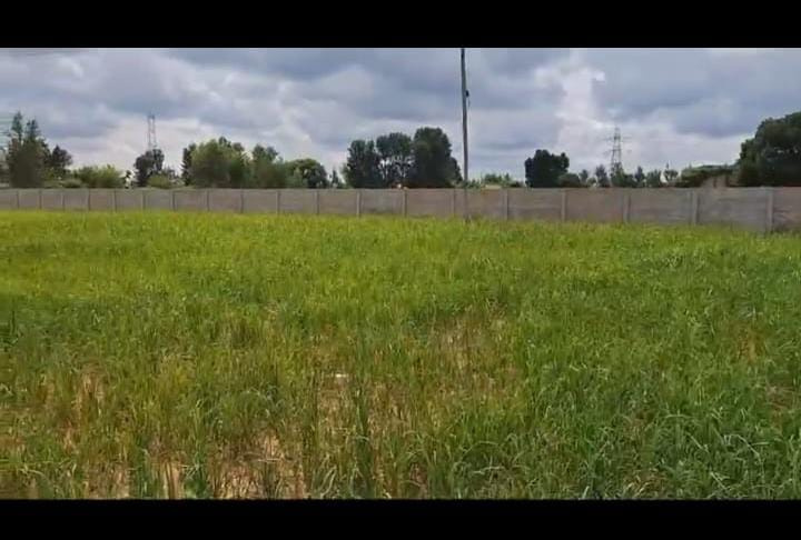  Agricultural Land 21600 Sq.ft. for Sale in Majestic, Bangalore