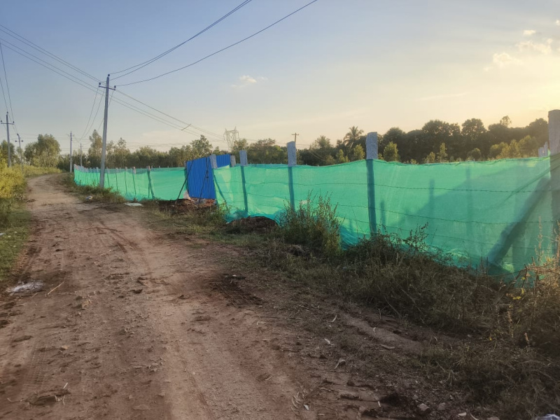  Agricultural Land 54750 Sq.ft. for Sale in Doddaballapur, Bangalore