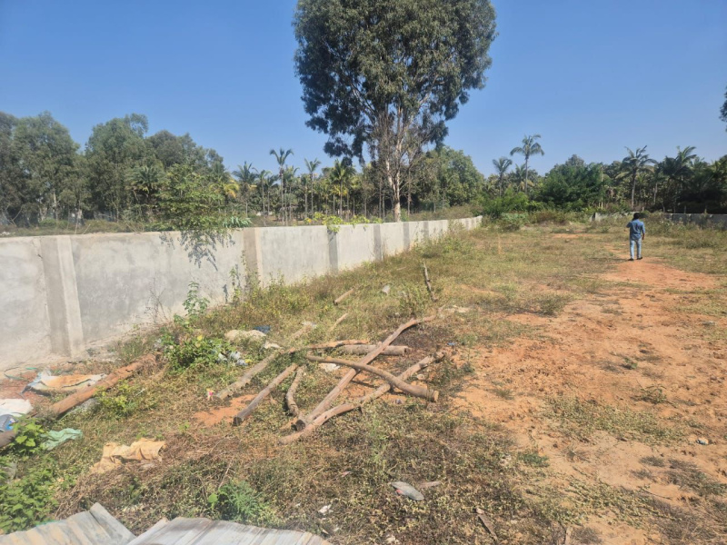  Agricultural Land 11000 Sq.ft. for Sale in Yelahanka, Bangalore