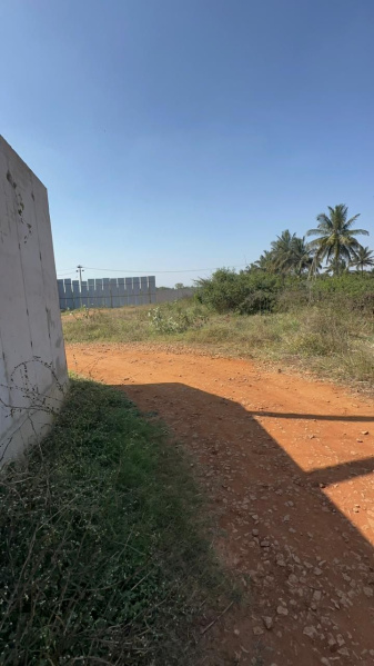  Agricultural Land 28 Guntha for Sale in Doddaballapur, Bangalore