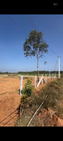  Agricultural Land 201540 Sq.ft. for Sale in Doddaballapur, Bangalore