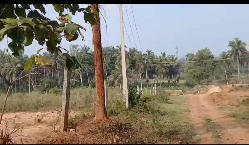  Agricultural Land 174240 Sq.ft. for Sale in Kumaraswamy Layout, Bangalore