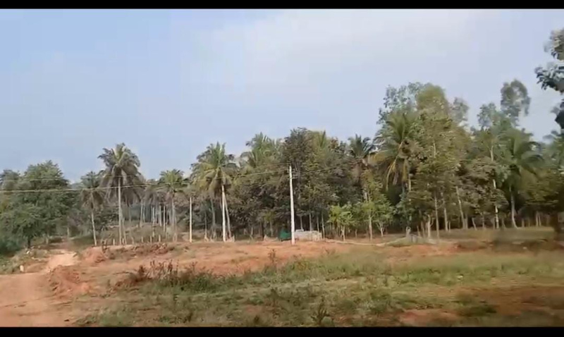  Agricultural Land 174240 Sq.ft. for Sale in Kumaraswamy Layout, Bangalore