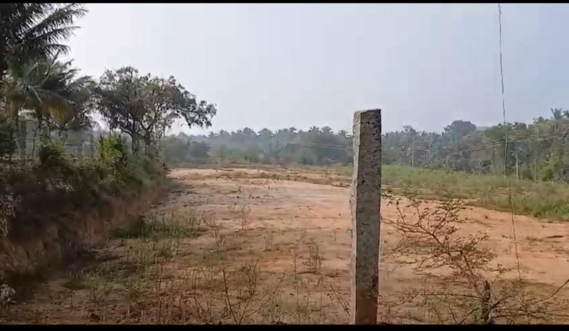  Agricultural Land 174240 Sq.ft. for Sale in Kumaraswamy Layout, Bangalore