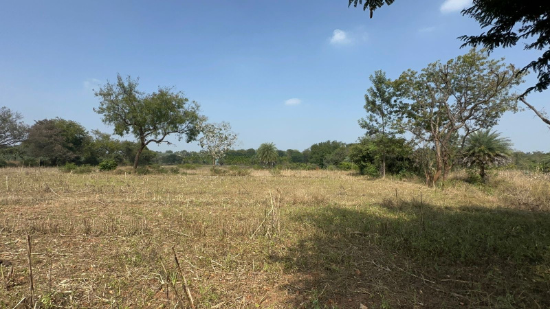  Agricultural Land 40468 Sq.ft. for Sale in Doddaballapur, Bangalore