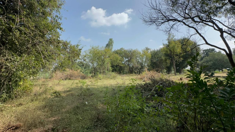  Agricultural Land 22 Guntha for Sale in Doddaballapur, Bangalore