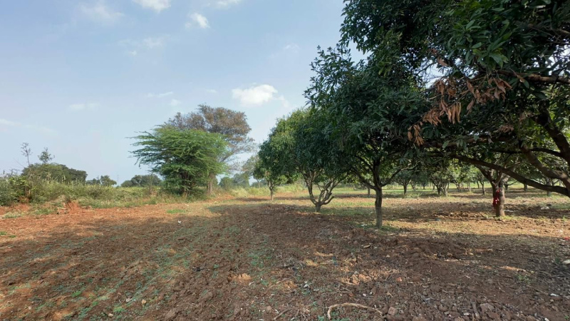  Agricultural Land 5 Acre for Sale in Gauribidanur, Bangalore