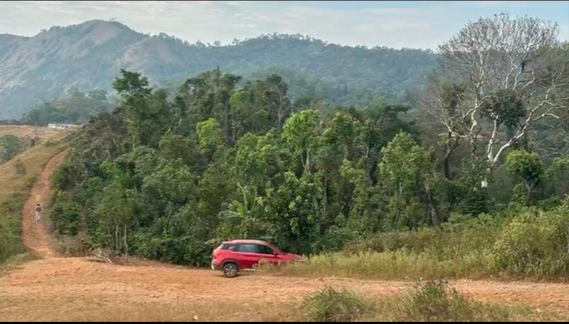  Agricultural Land 4 Acre for Sale in Mudigere, Chikmagalur