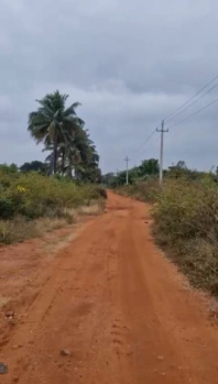  Agricultural Land for Sale in Chikkaballapur, Bangalore