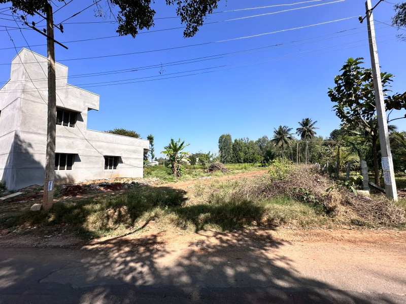  Agricultural Land 19 Guntha for Sale in Devanahalli, Bangalore