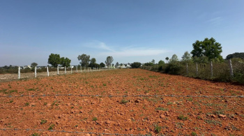  Agricultural Land for Sale in Devanahalli, Bangalore