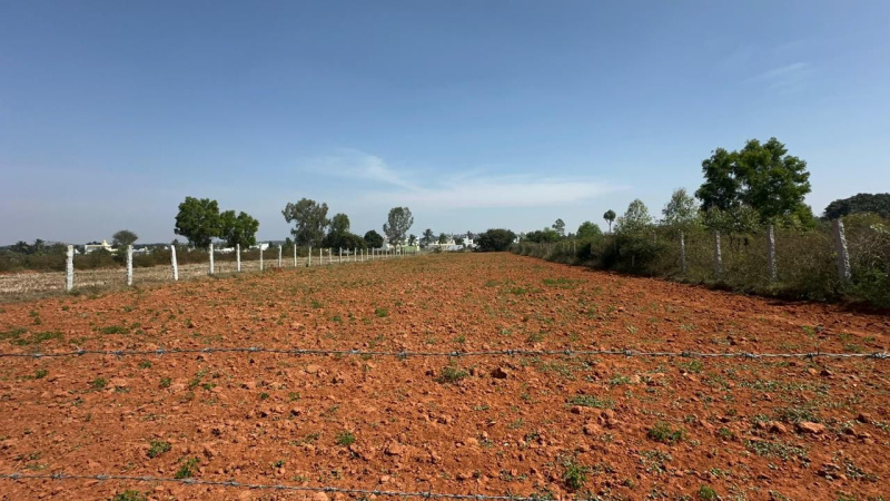  Agricultural Land 32 Guntha for Sale in Devanahalli, Bangalore