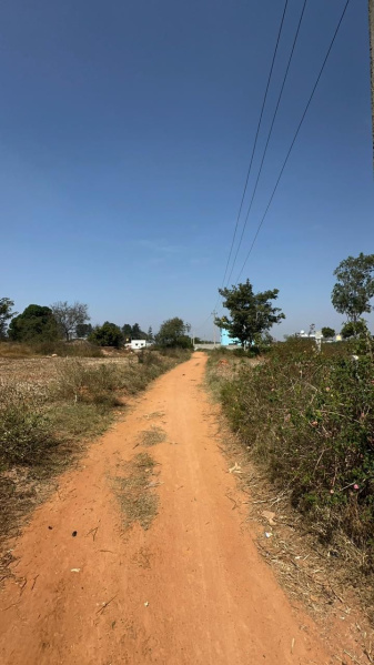  Agricultural Land 32 Guntha for Sale in Devanahalli, Bangalore