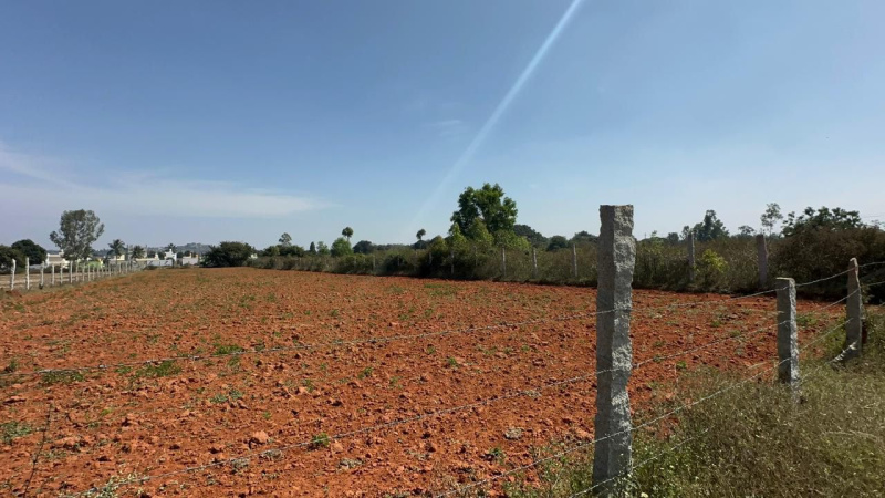  Agricultural Land 32 Guntha for Sale in Devanahalli, Bangalore