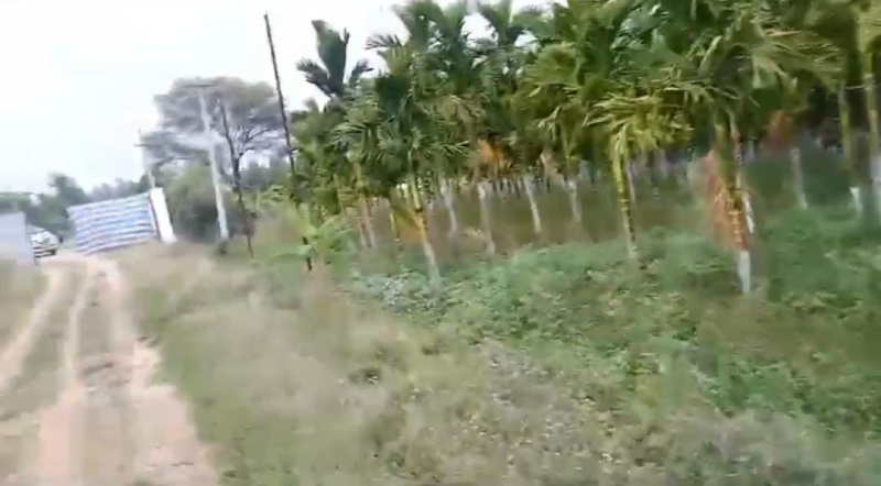  Agricultural Land 21 Acre for Sale in Kanakapura, Bangalore