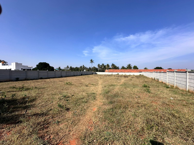  Agricultural Land 12 Acre for Sale in Devanahalli, Bangalore