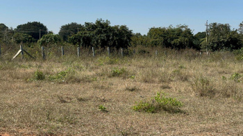  Agricultural Land for Sale in Doddaballapur, Bangalore