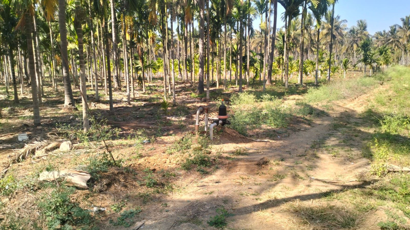  Agricultural Land 5 Acre for Sale in Aldur, Chikmagalur