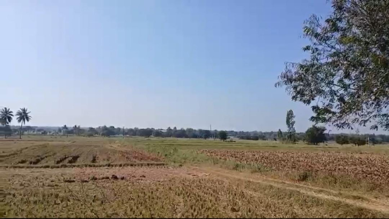  Agricultural Land 15 Acre for Sale in Malavalli, Mandya